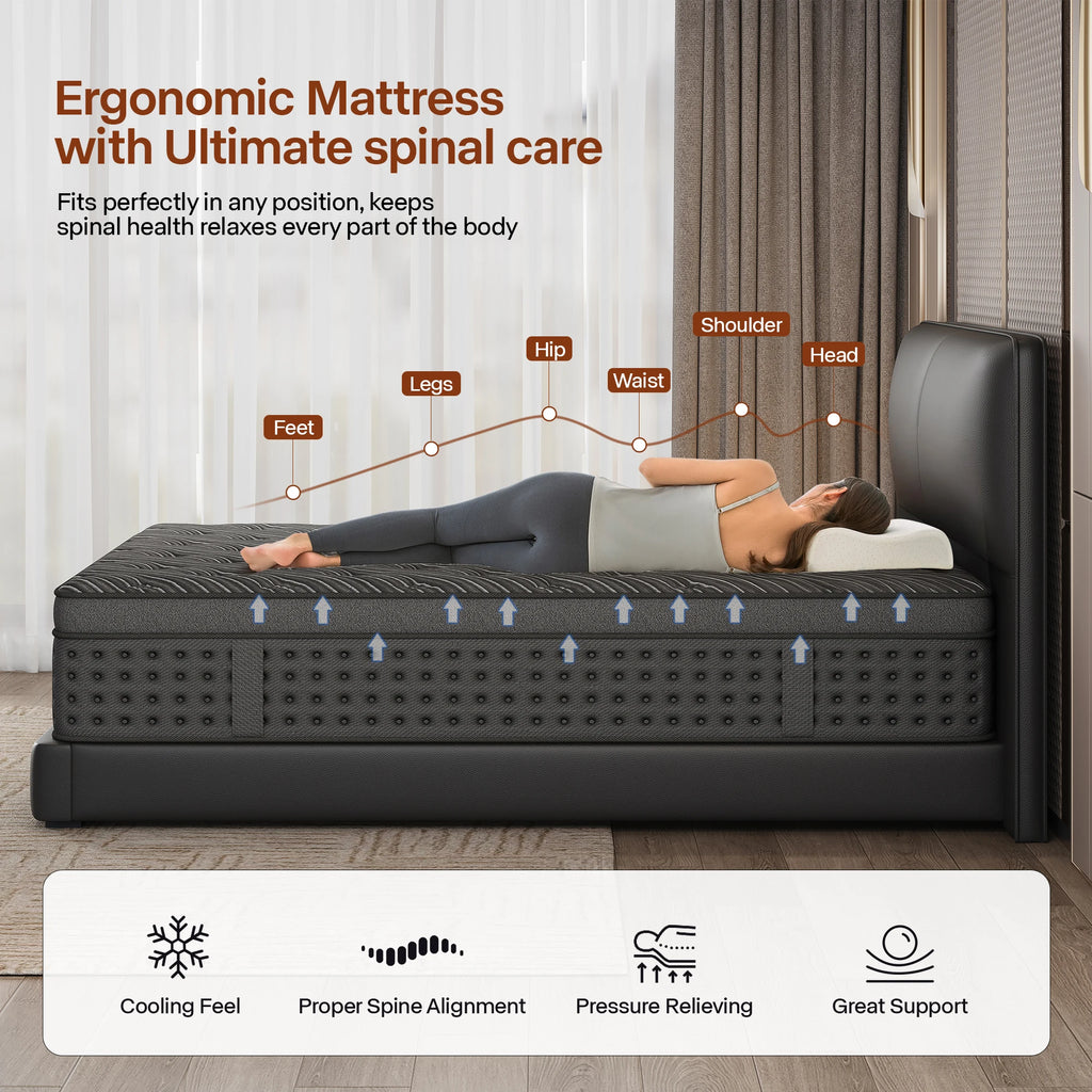 LayRoad 12/14-Inch Memory Foam Spring Mattress Single/Double/Queen/King Sizes Boxed Mattress Medium Firmness Pressure Relief